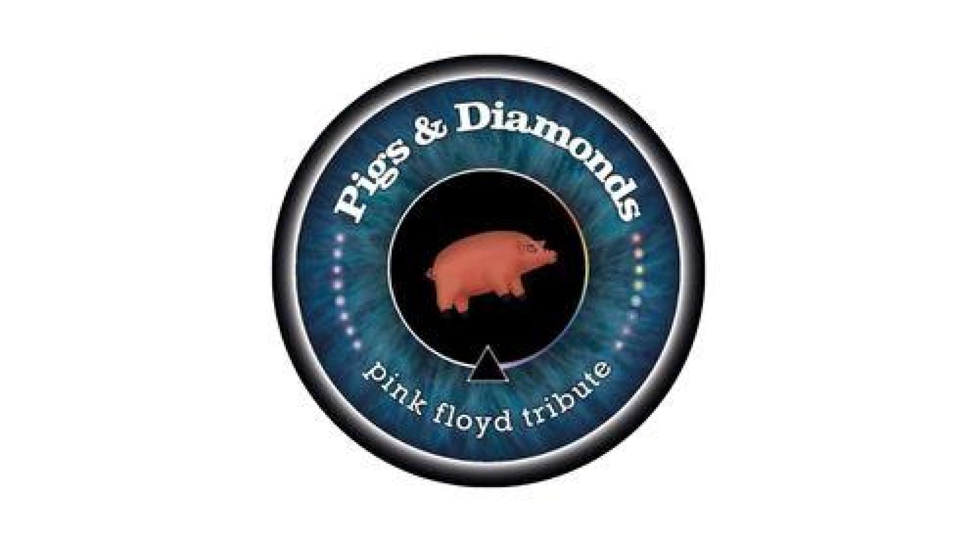 Pigs & Diamonds Pink Floyd Tribute